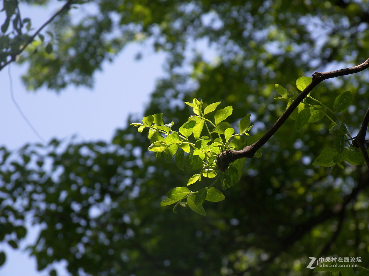 那一抹难忘的色彩----柯达p880