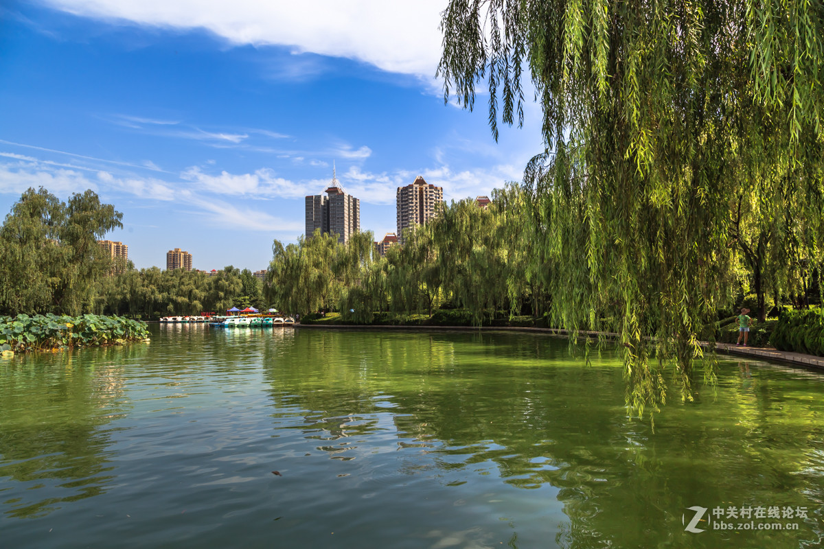 夏末公园的死角正式版图片