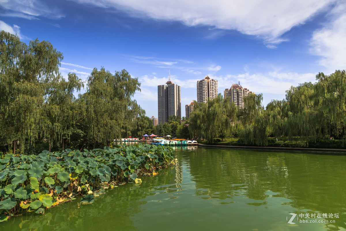 夏末公园景色---试用顶贴自动回加分，真省事（共计90人）