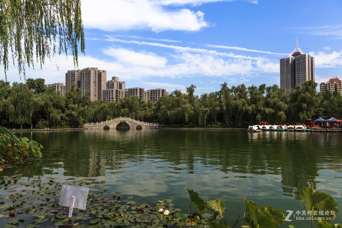 夏末公园景色---试用顶贴自动回加分，真省事（共计90人）