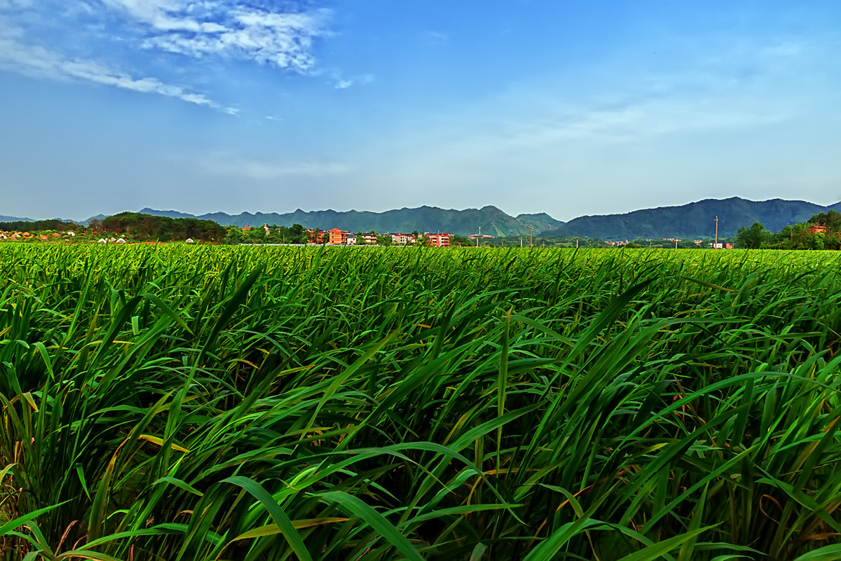 江南行 （44） 《离赣进浙，一路随拍》