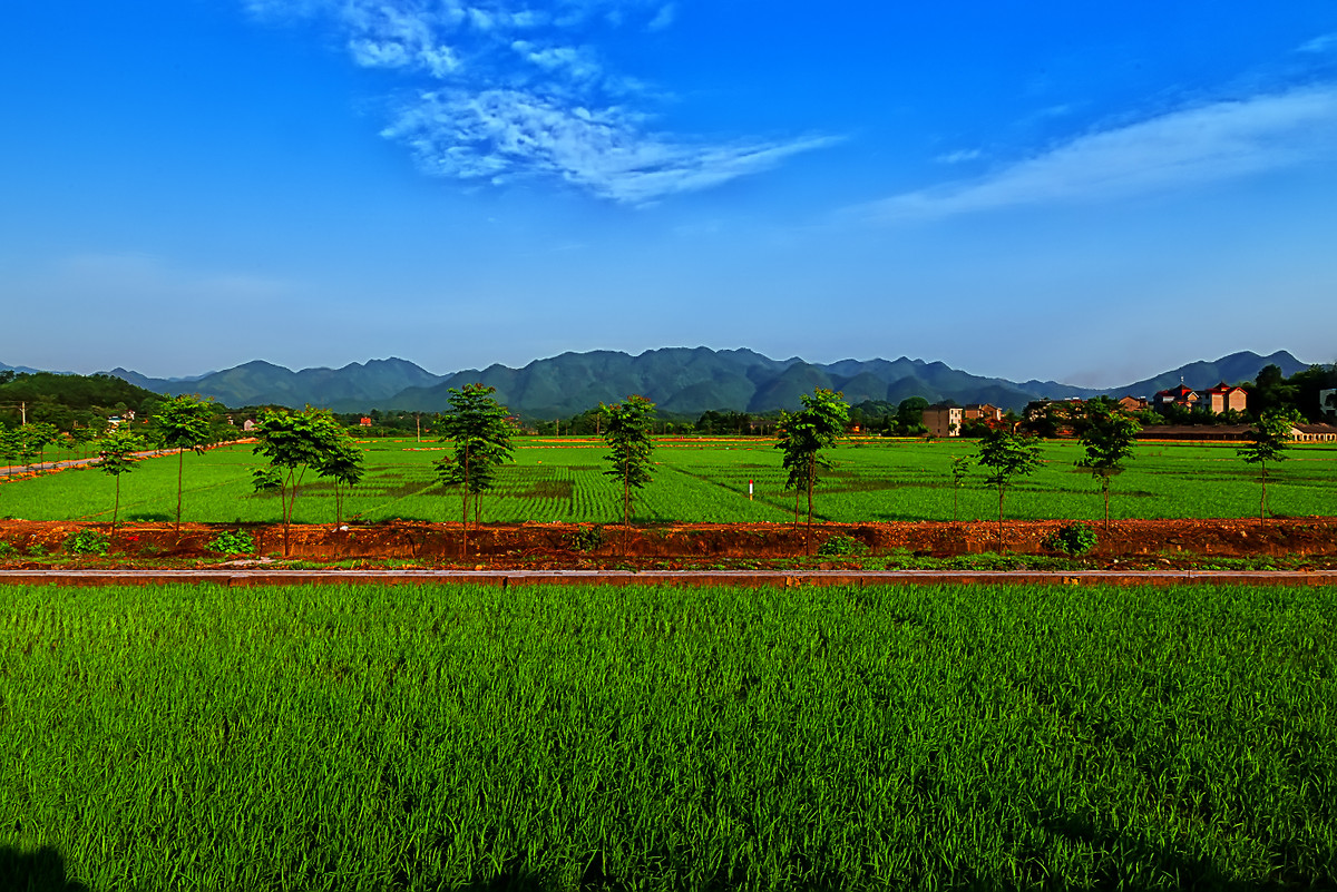 江南行 （44） 《离赣进浙，一路随拍》