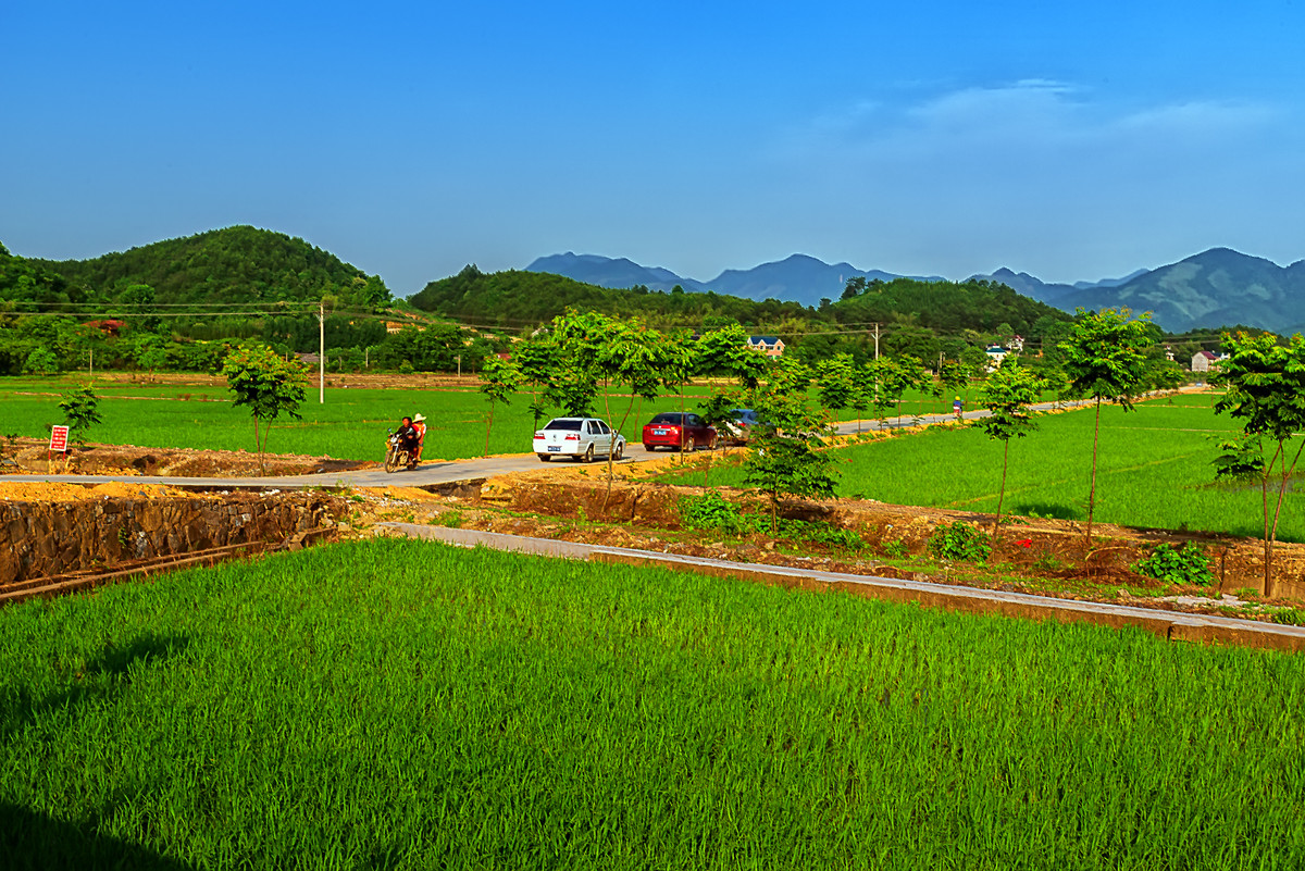 江南行 （44） 《离赣进浙，一路随拍》