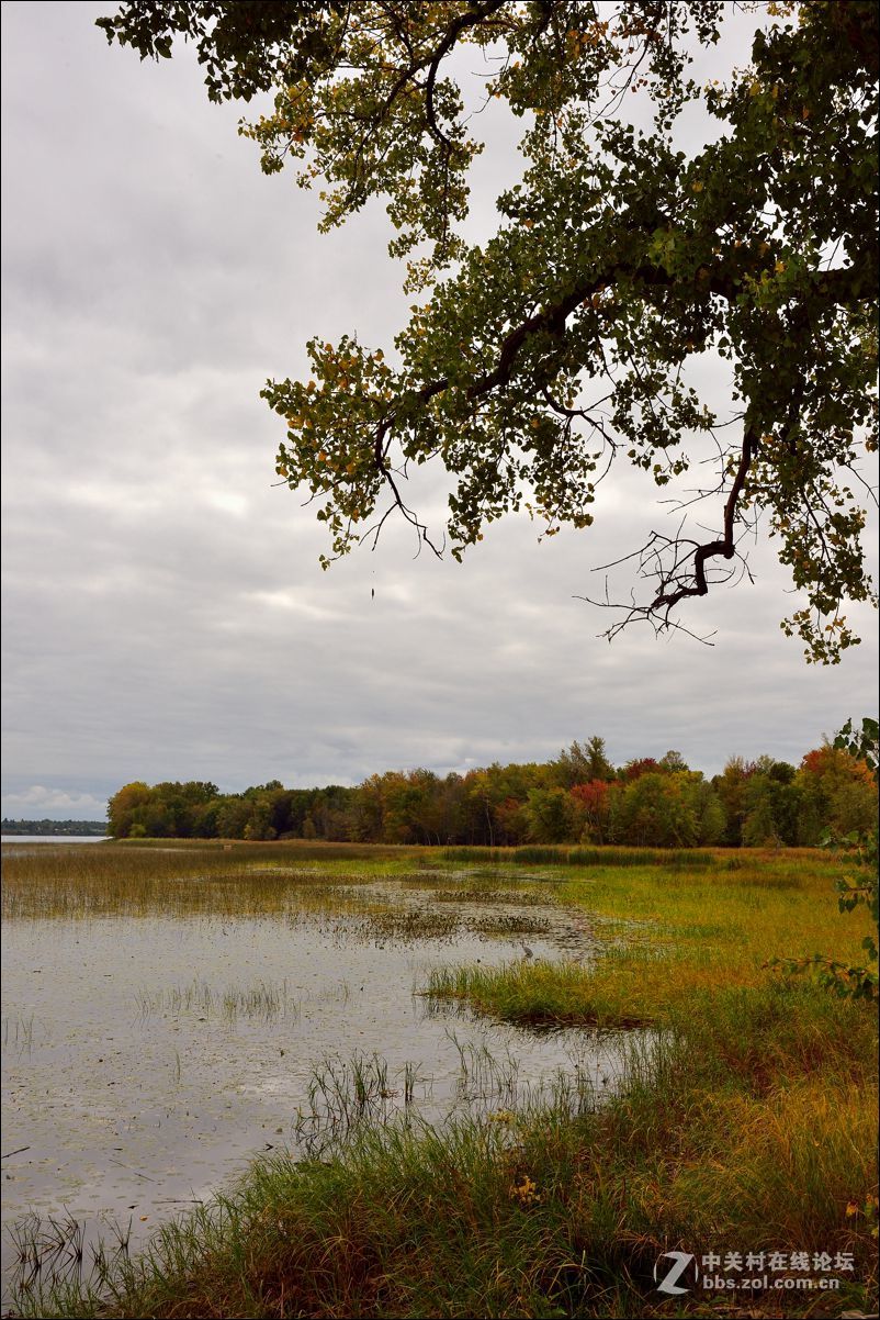 休闲随拍（349）