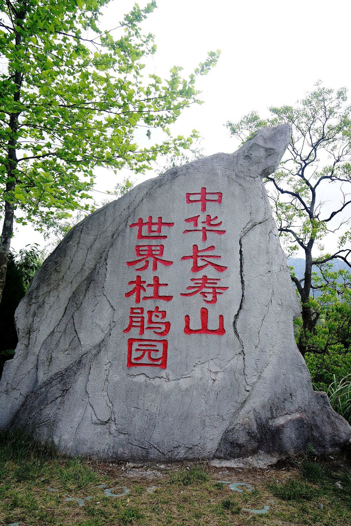 湖北麻城印象---麻城龟锋山！续-（一）。。。。。