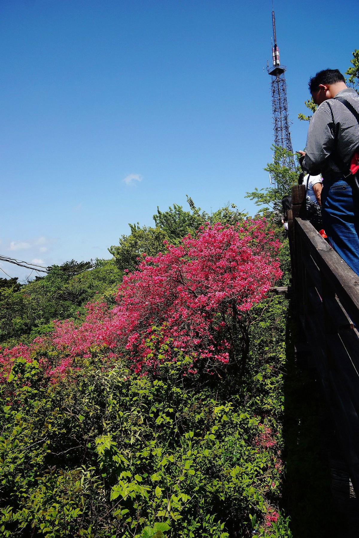 湖北麻城印象---麻城龟锋山！续-（一）。。。。。