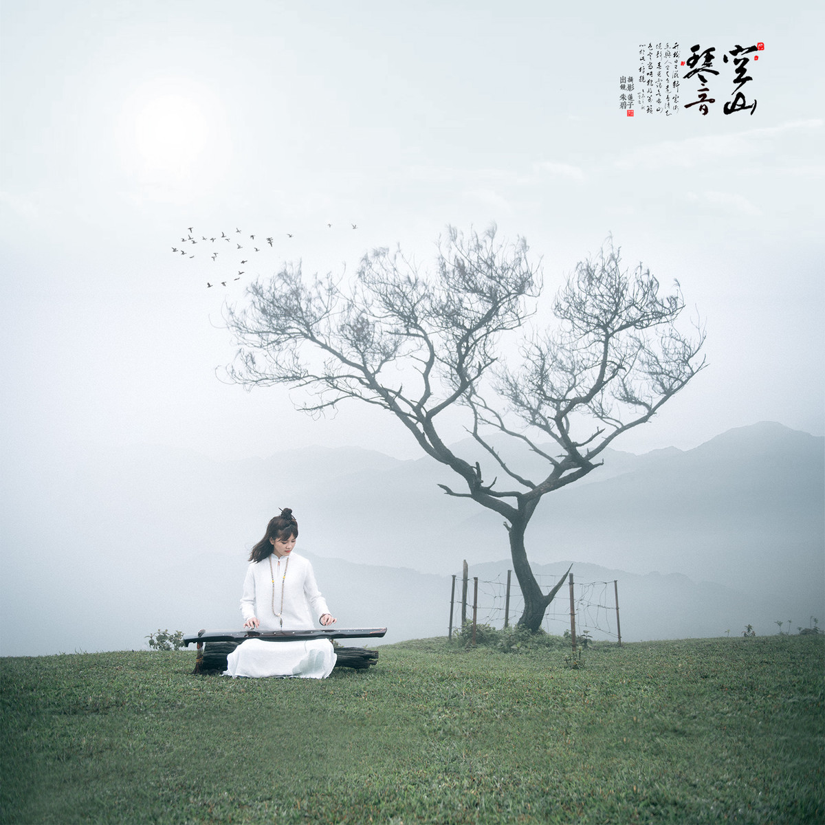 空山琴音