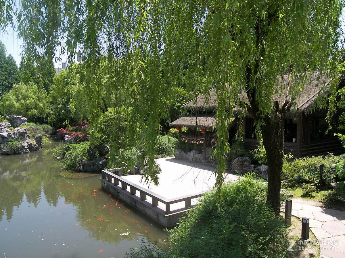 那一抹难忘的色彩----柯达p880