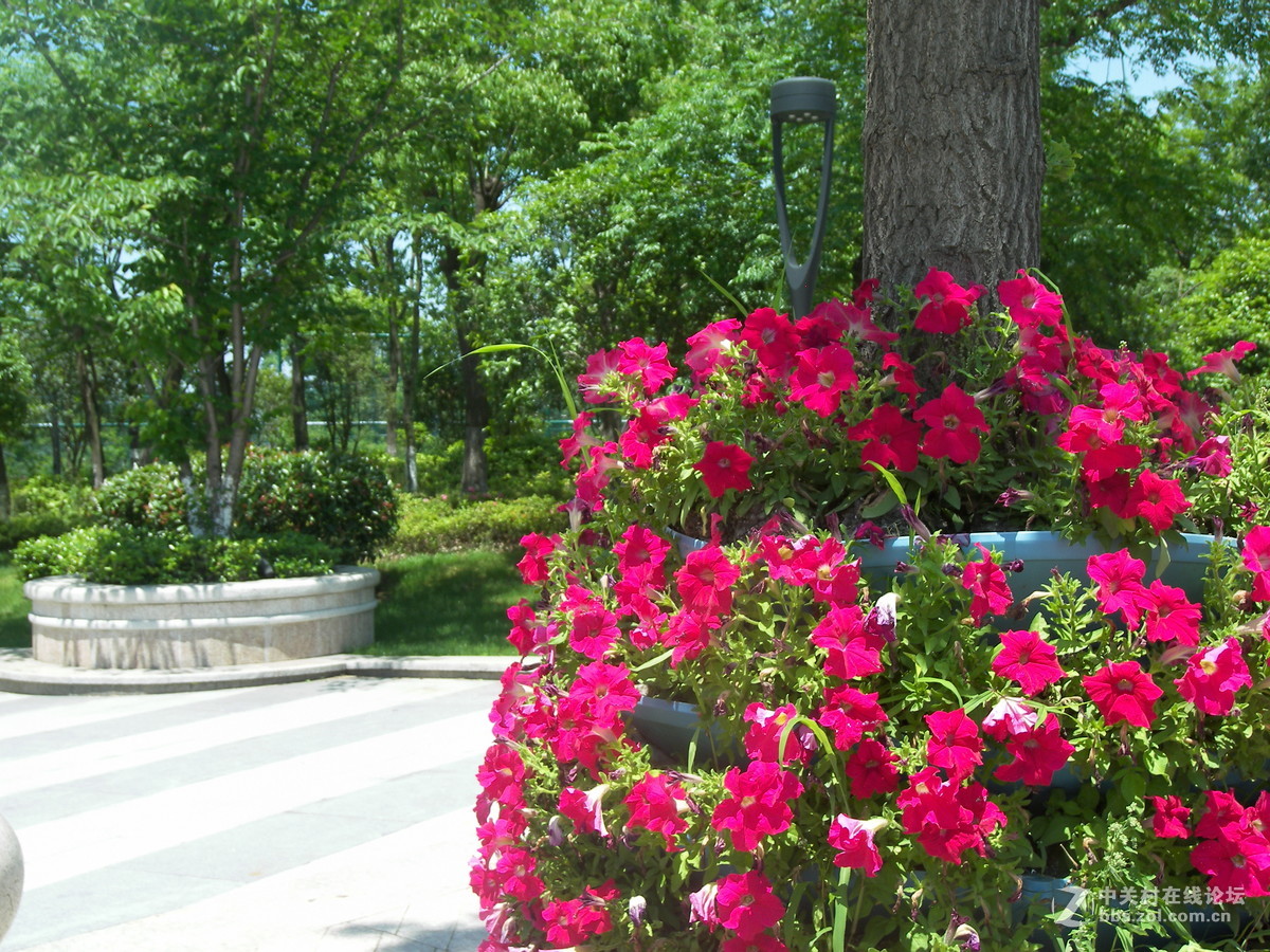 那一抹难忘的色彩----柯达p880