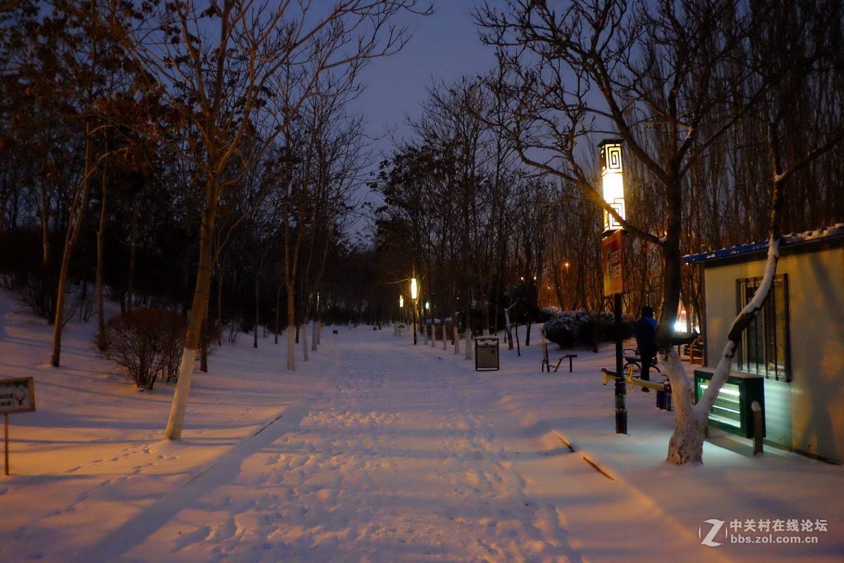 2018年冬天营口的第一场雪（摄于南湖公园）……-中关村在线摄影论坛