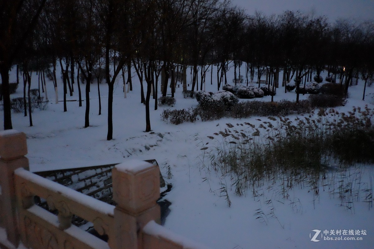 2018年冬天营口的第一场雪（摄于南湖公园）……-中关村在线摄影论坛