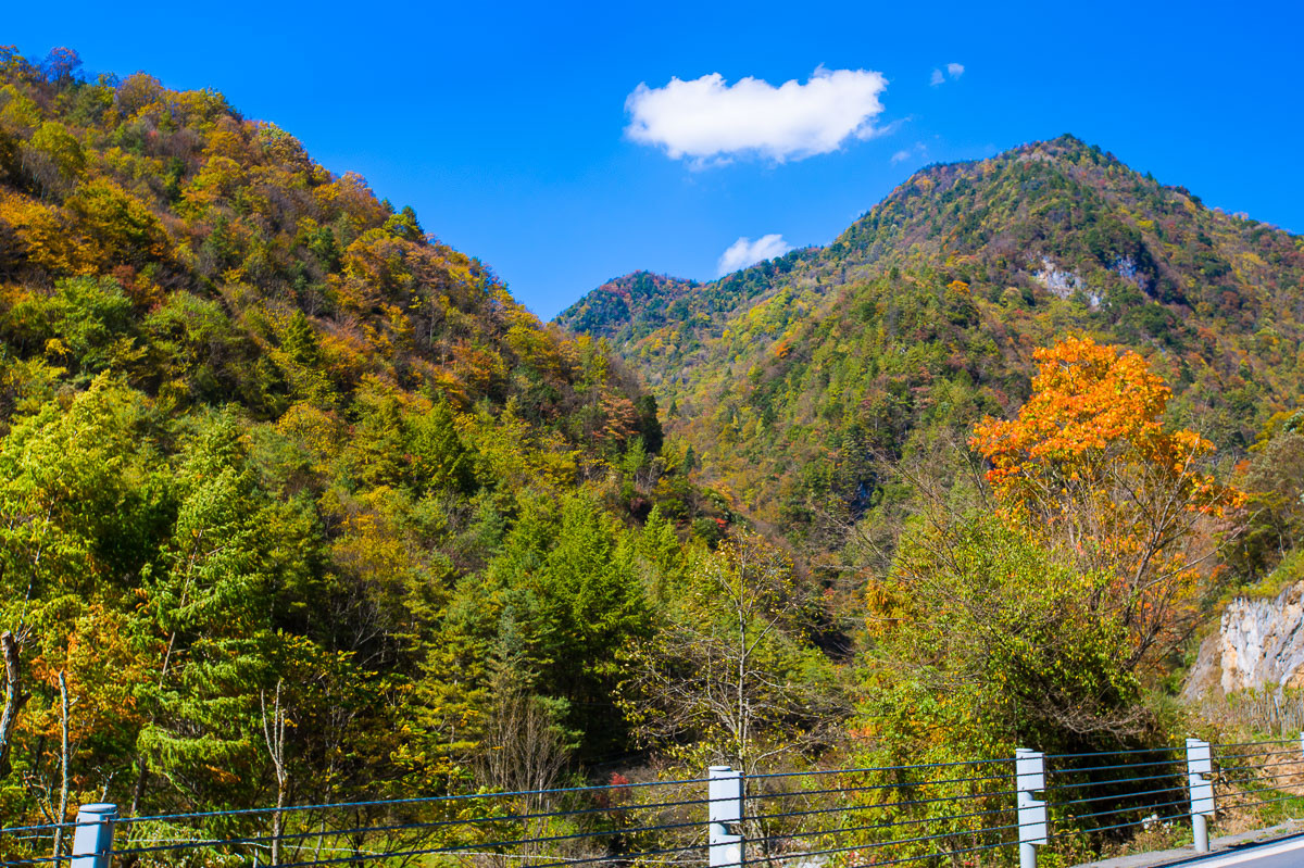 2016-01-17神农架—边走边拍（四）