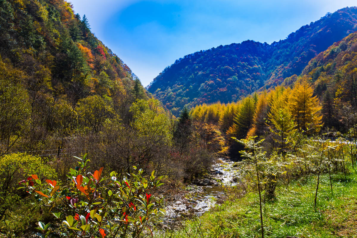 2016-01-17神农架—边走边拍（四）