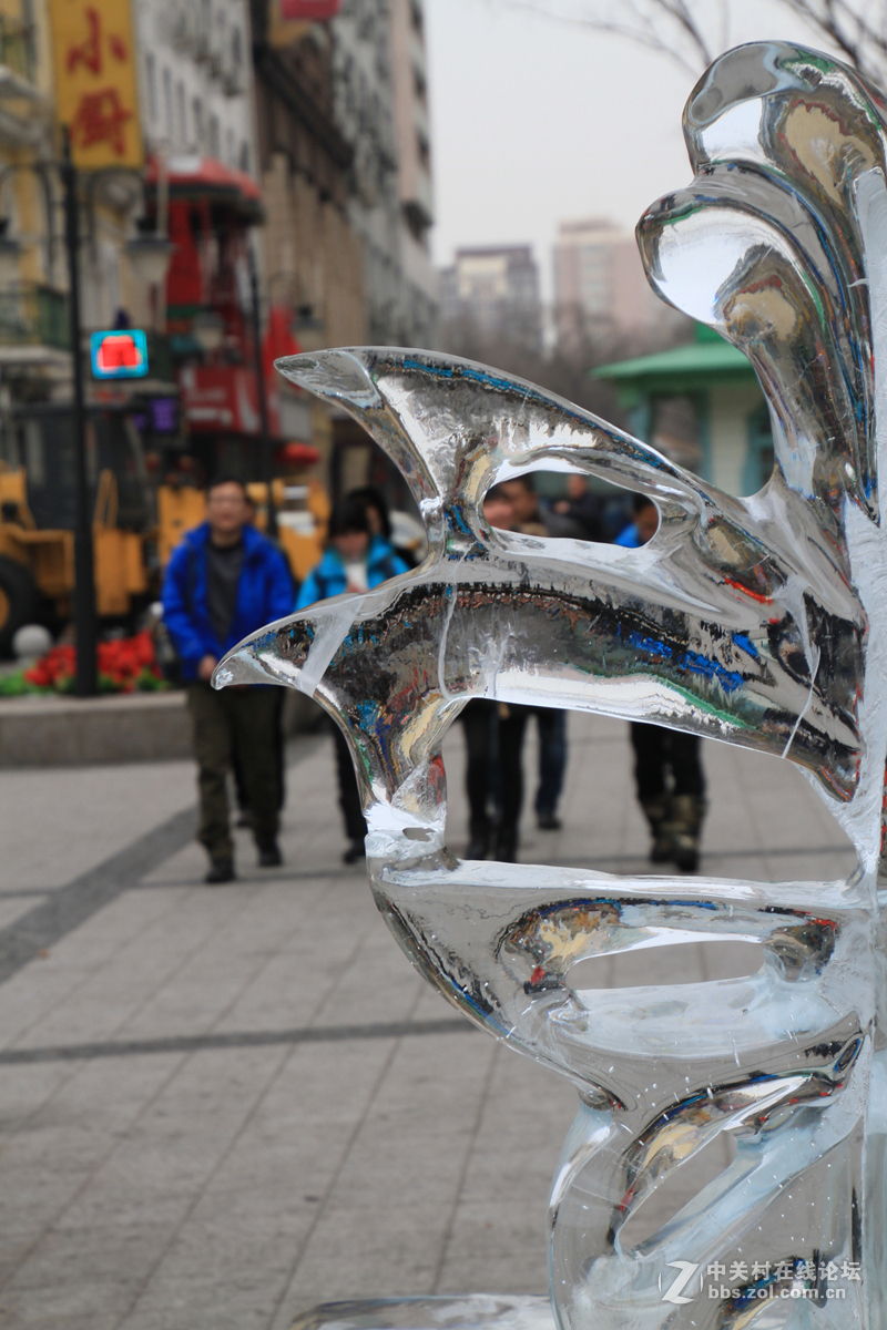 冰雪情缘——哈市扫街