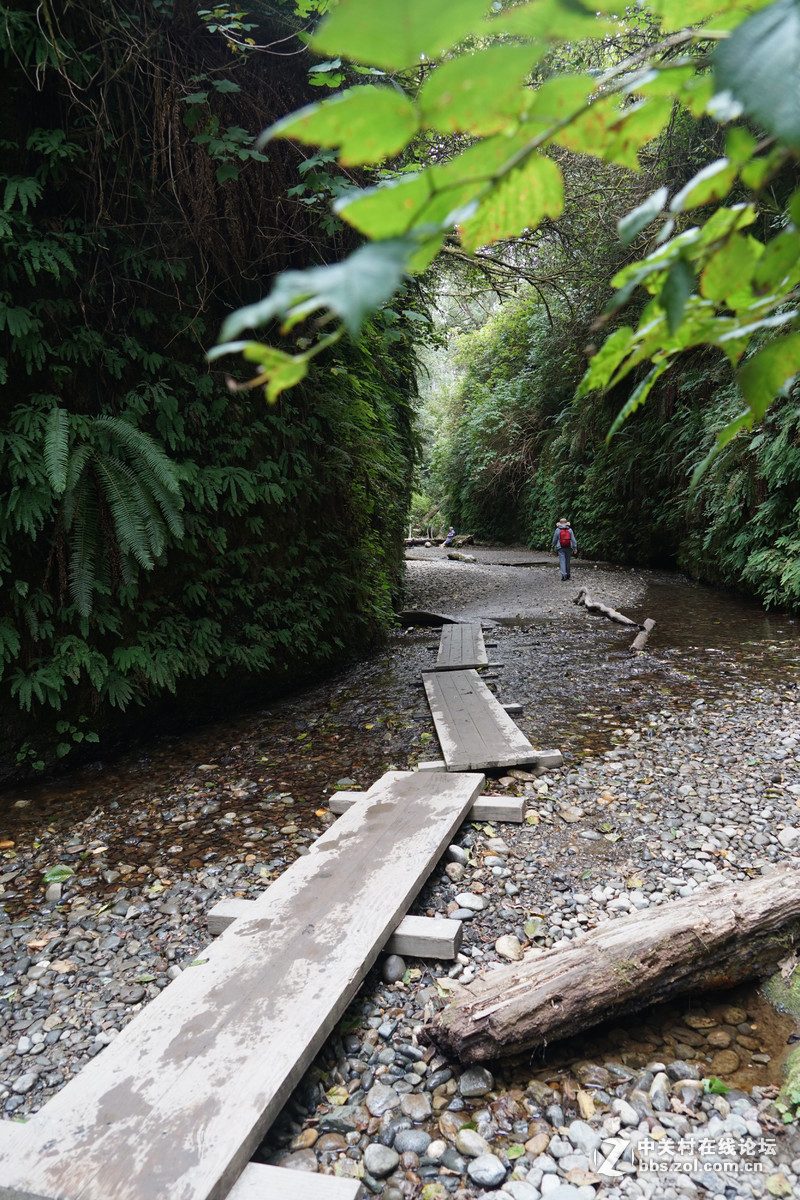 #版主坐堂# 4-6月尼康p510精华帖摘选