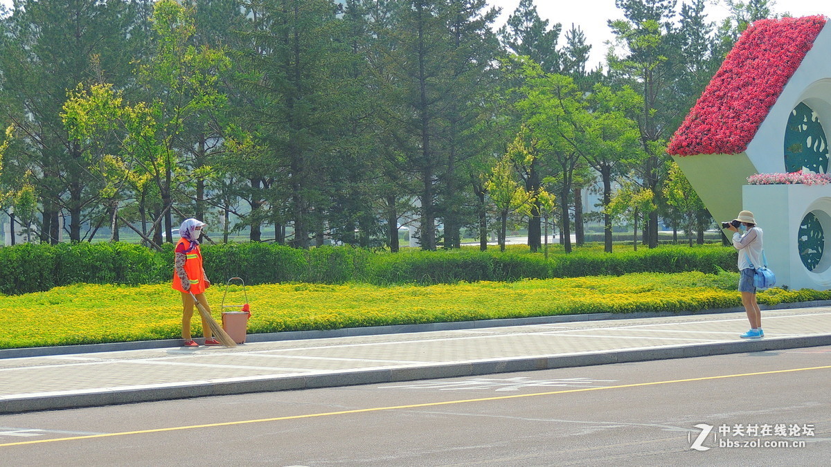 #版主坐堂# 4-6月尼康p510精华帖摘选