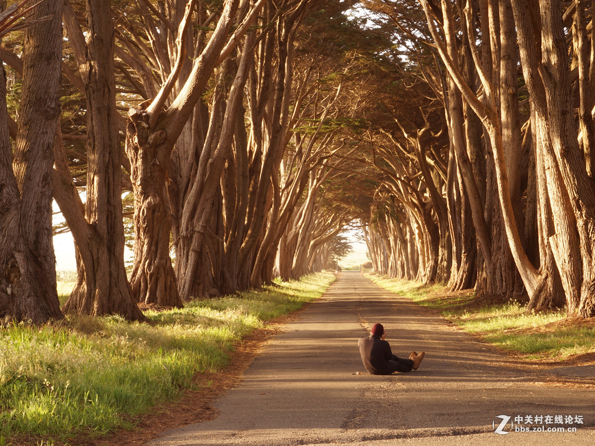 #版主坐堂# 4-6月尼康p510精华帖摘选