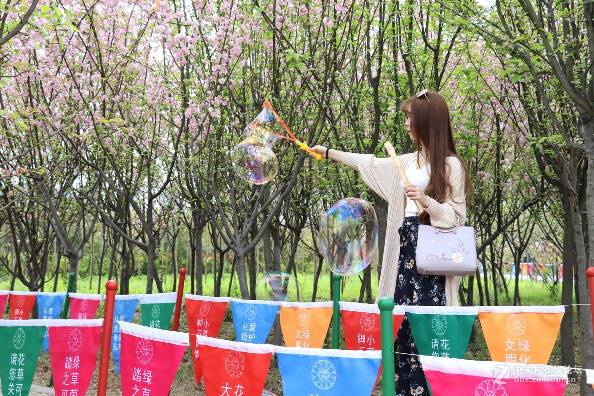 新手第一帖，进入大家庭，和大家共同学习了！