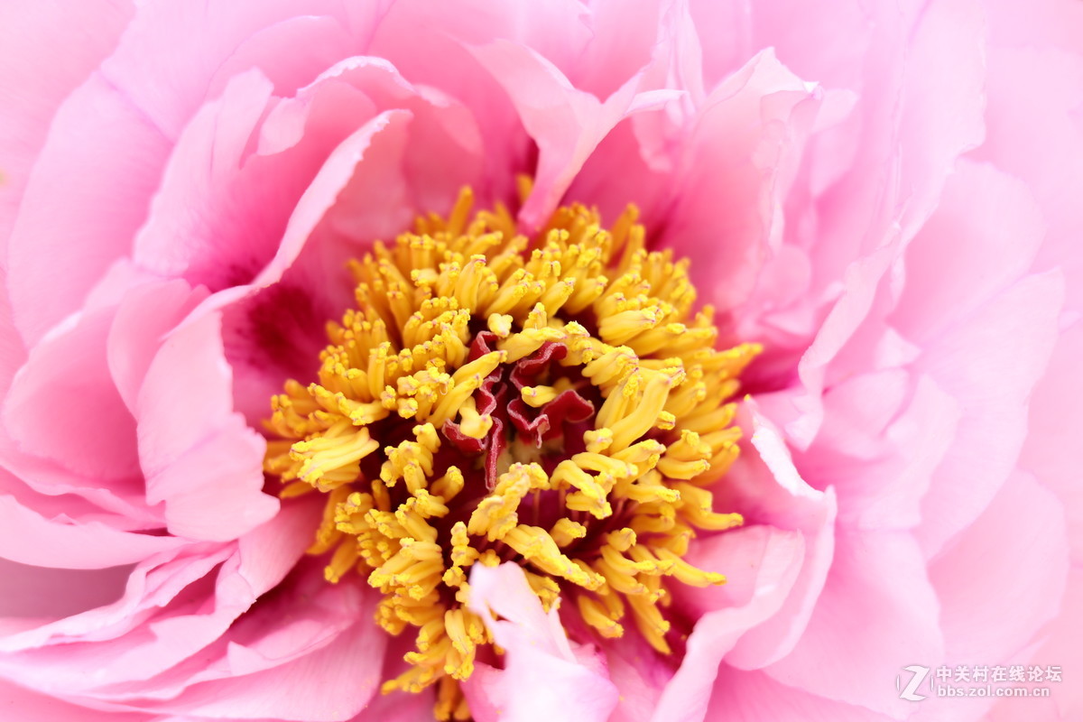 新手第一帖，进入大家庭，和大家共同学习了！