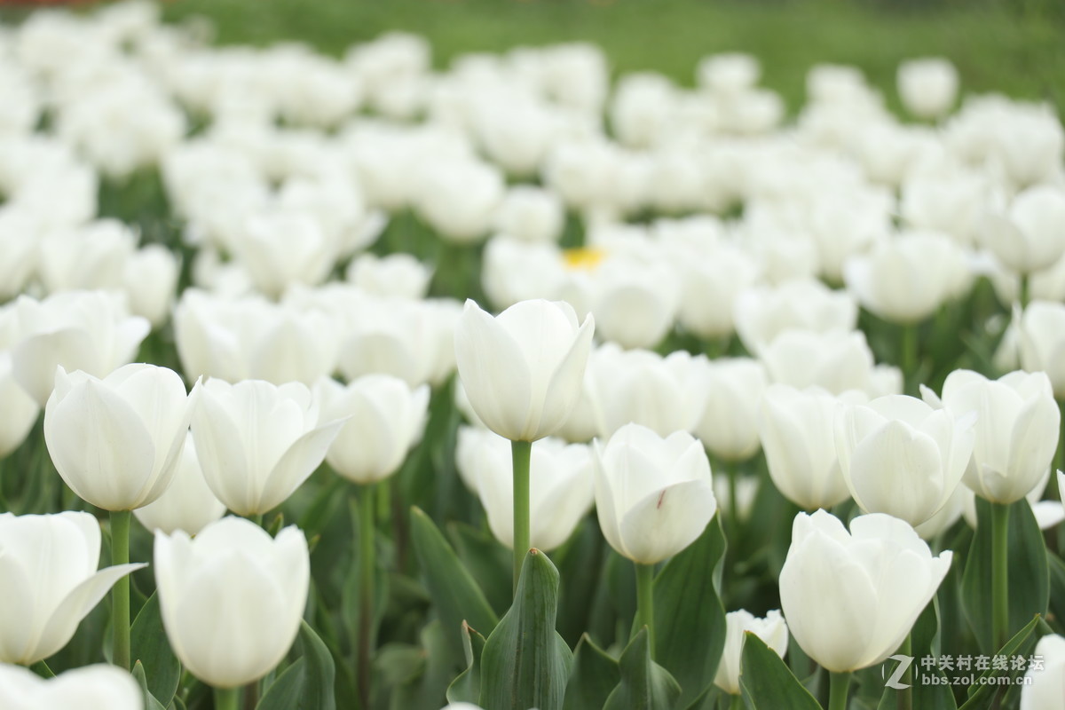 新手第一帖，进入大家庭，和大家共同学习了！