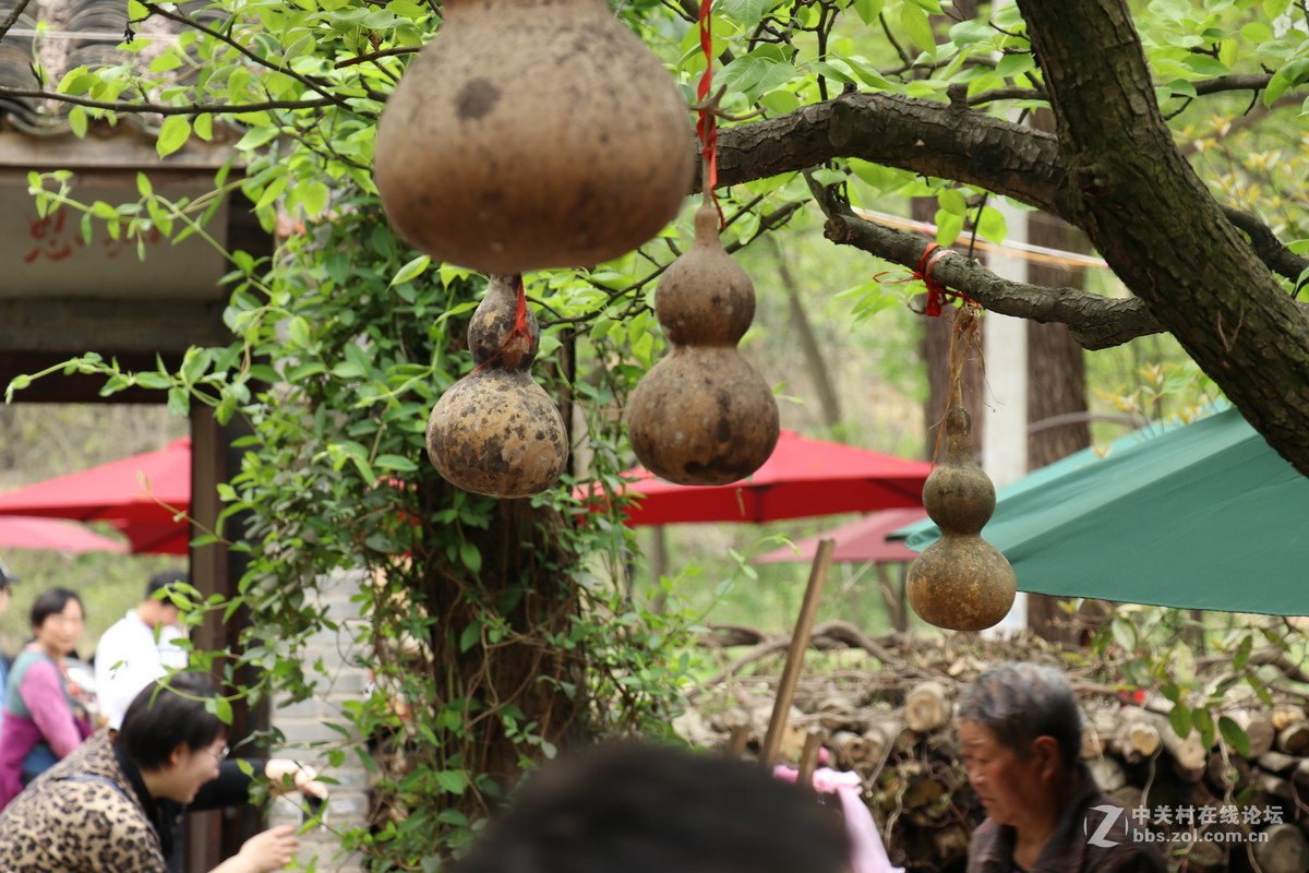 新手第一帖，进入大家庭，和大家共同学习了！