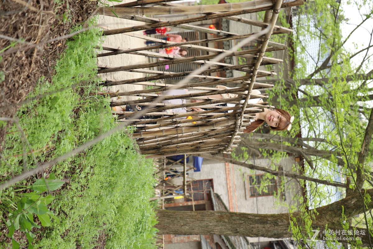 新手第一帖，进入大家庭，和大家共同学习了！