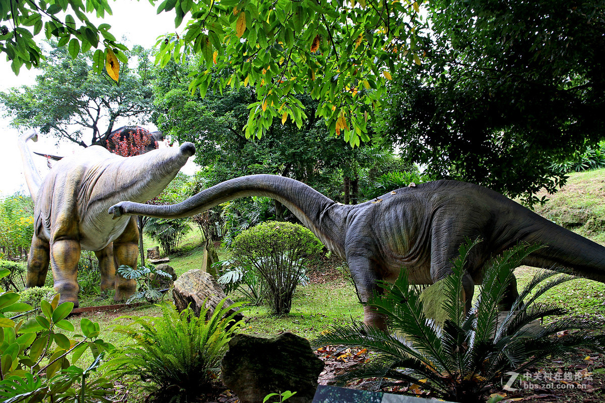 自贡恐龙馆纪实随拍上