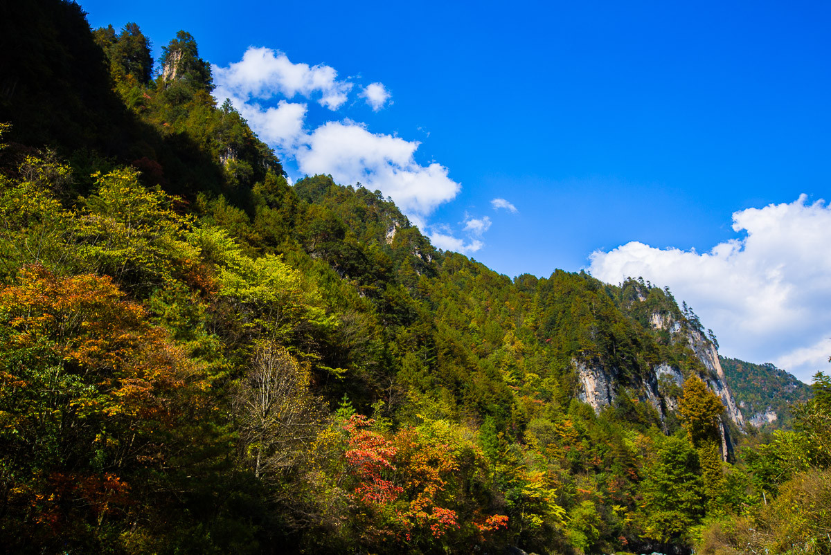 2016-01-17神农架—边走边拍（四）