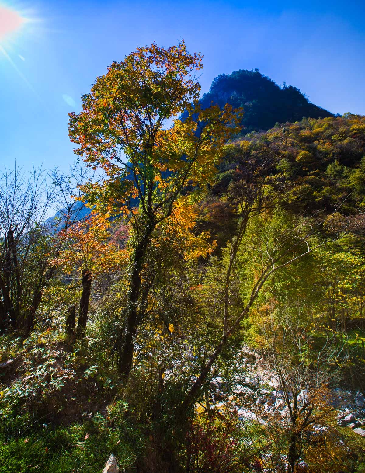 2016-01-17神农架—边走边拍（四）