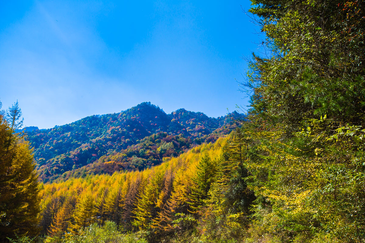 2016-01-17神农架—边走边拍（四）