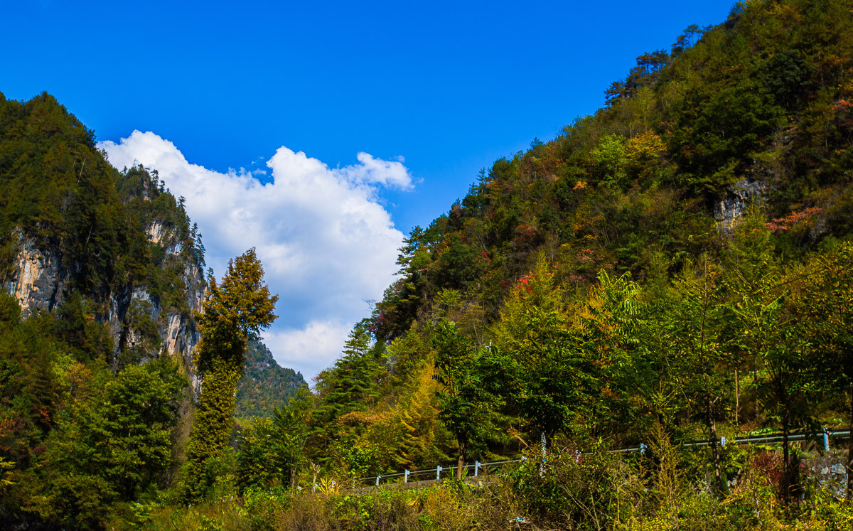 2016-01-17神农架—边走边拍（四）