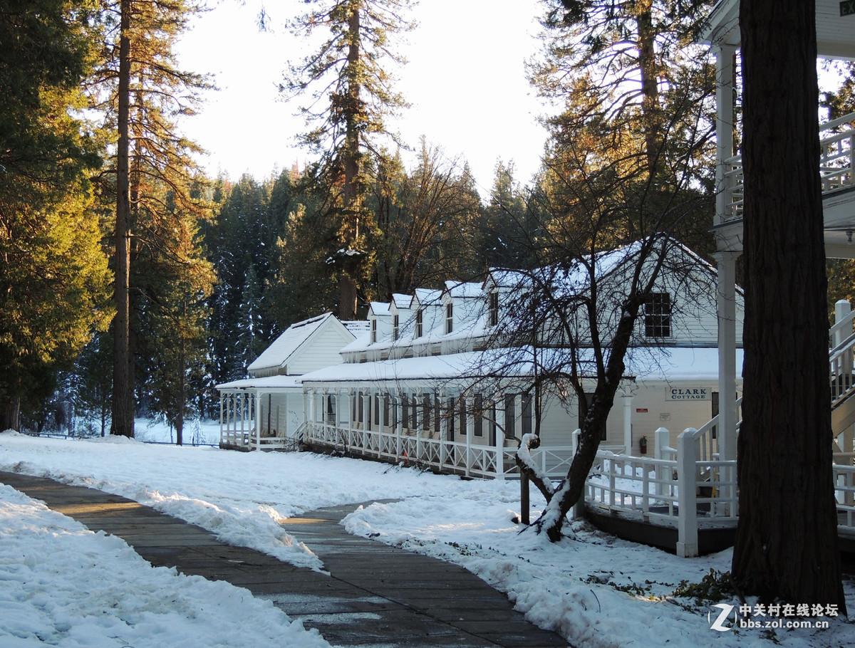 #版主坐堂# 4-6月尼康p510精华帖摘选