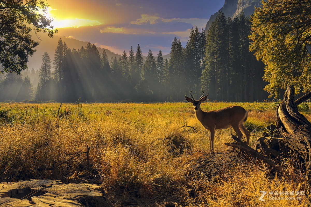 #版主坐堂#《自然风景星空(中国)每月精选》2016年10月份优秀作品选编