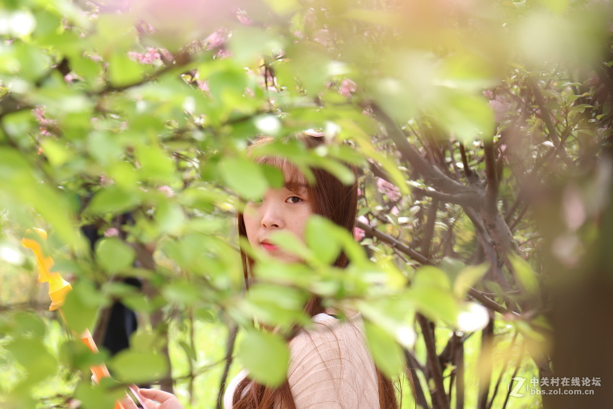 新手第一帖，进入大家庭，和大家共同学习了！