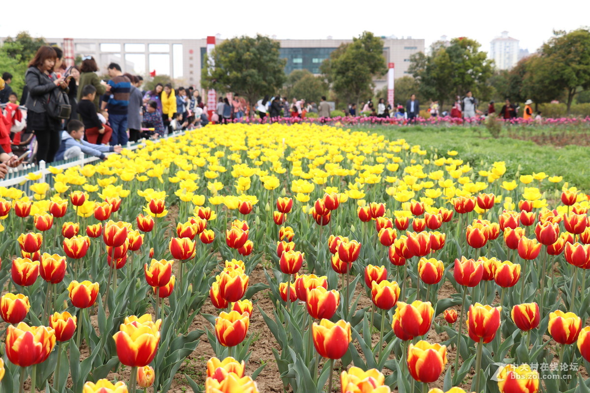 新手第一帖，进入大家庭，和大家共同学习了！