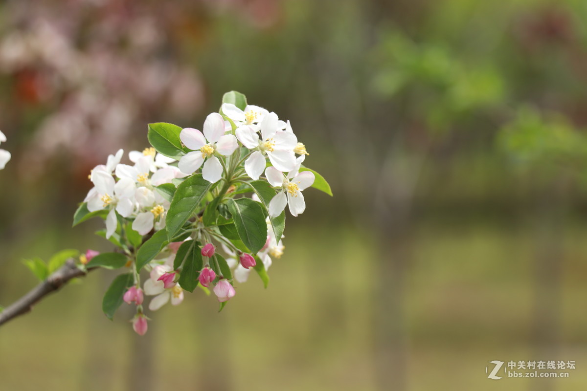 新手第一帖，进入大家庭，和大家共同学习了！