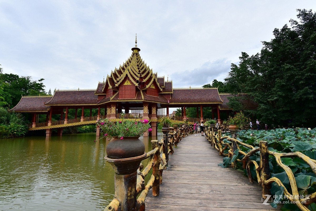 雲南西雙版納景洪市曼聽公園