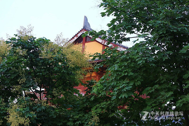 许昌--曹操老家！