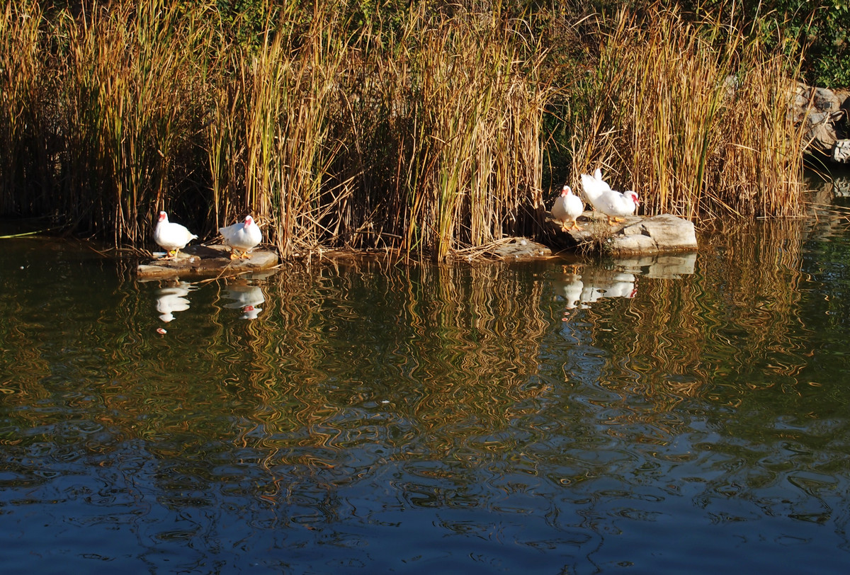 刚买的EP5，试机照，请多指教