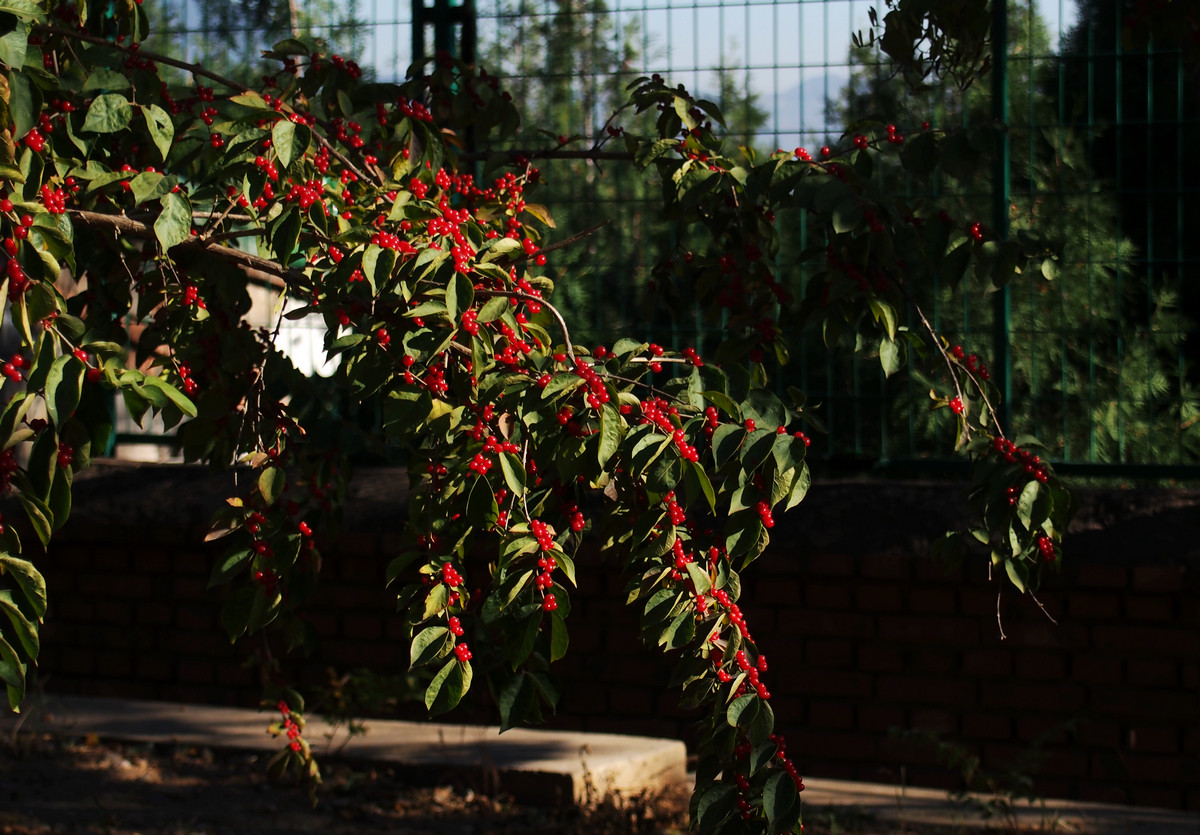 刚买的EP5，试机照，请多指教