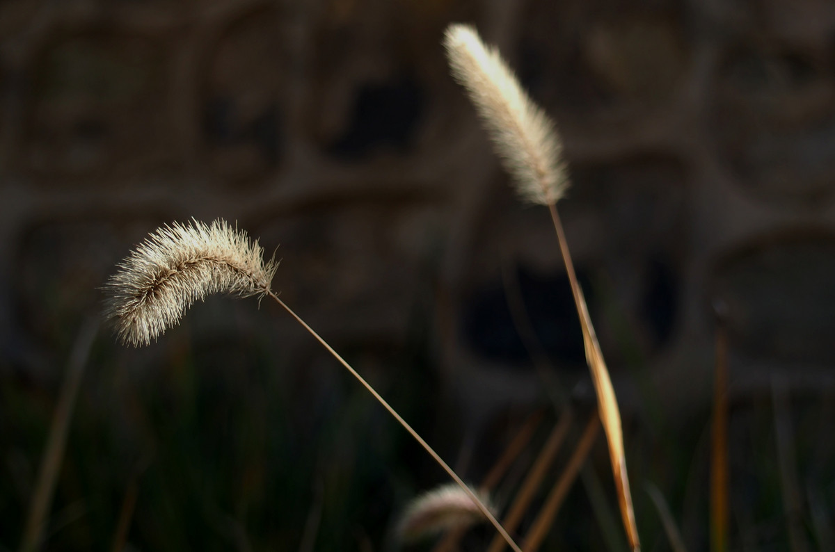 刚买的EP5，试机照，请多指教