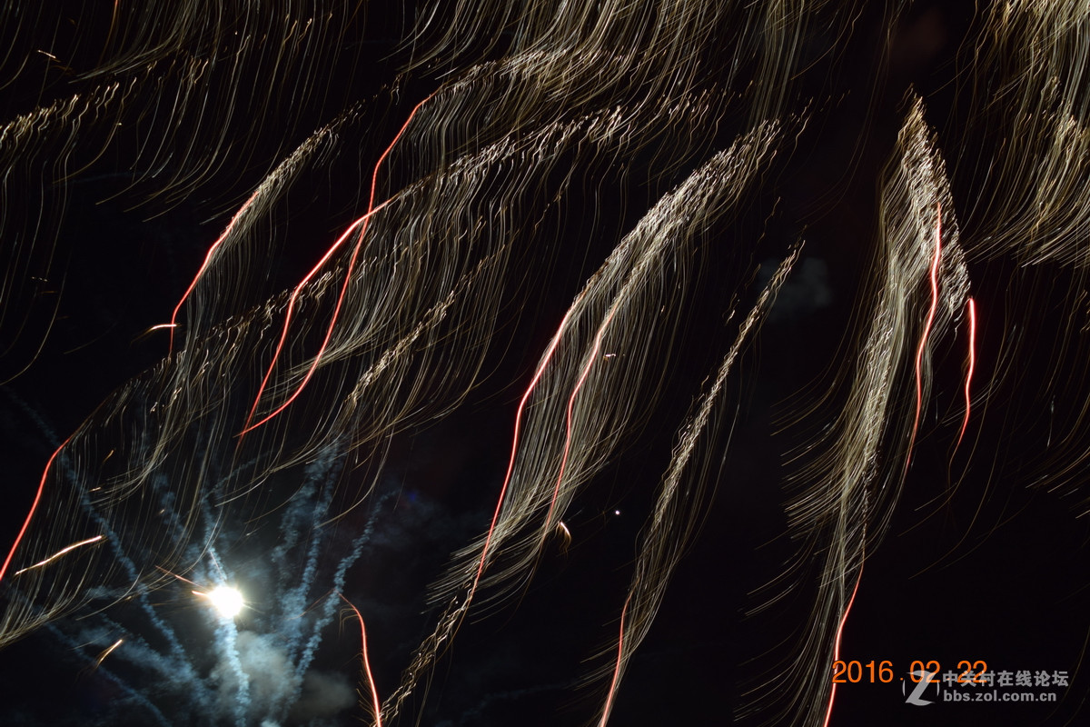 随风飞舞的“发丝”