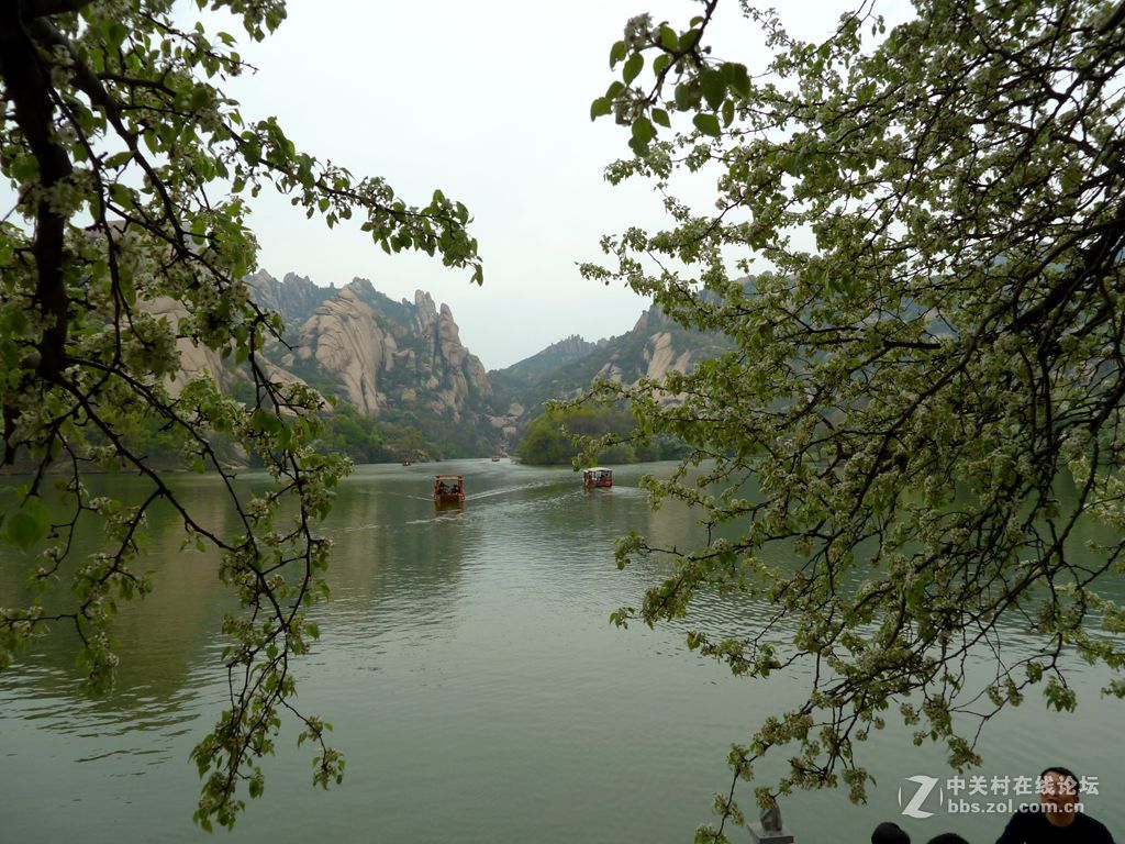 嵖岈山、郁金香清明踏青一日