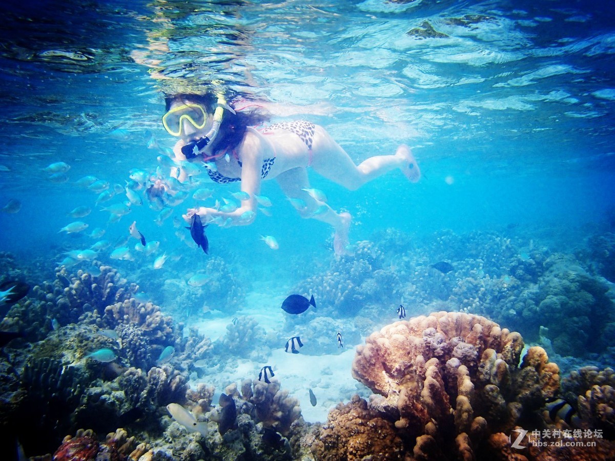 奥林巴斯TG5水下强悍视觉-附带奥林巴斯TG5功能解剖！