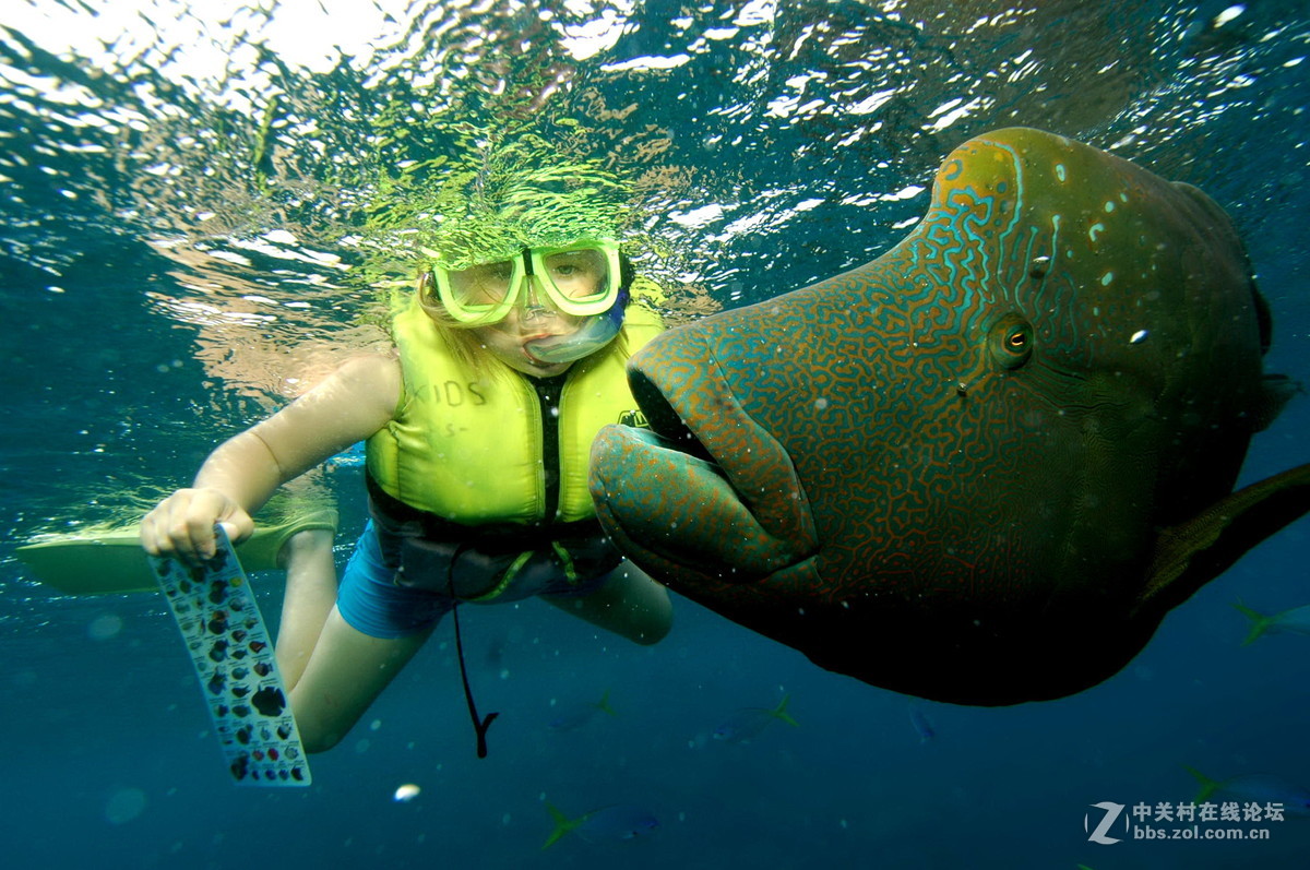 奥林巴斯TG5水下强悍视觉-附带奥林巴斯TG5功能解剖！