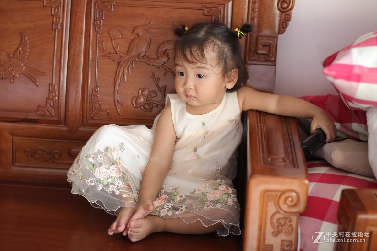 国产镜头：永诺50mmF1.4试镜