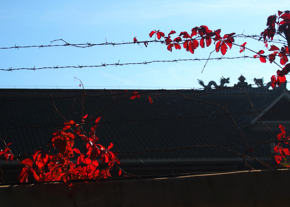 刚买的EP5，试机照，请多指教