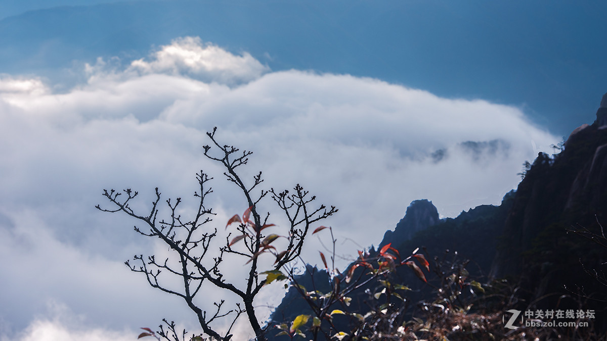 黄山美景尽收眼底