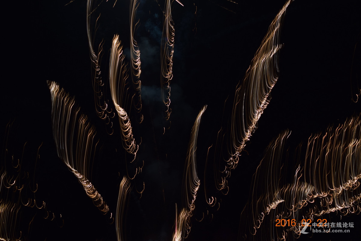 随风飞舞的“发丝”