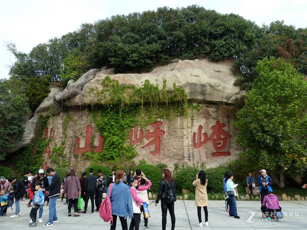 嵖岈山、郁金香清明踏青一日